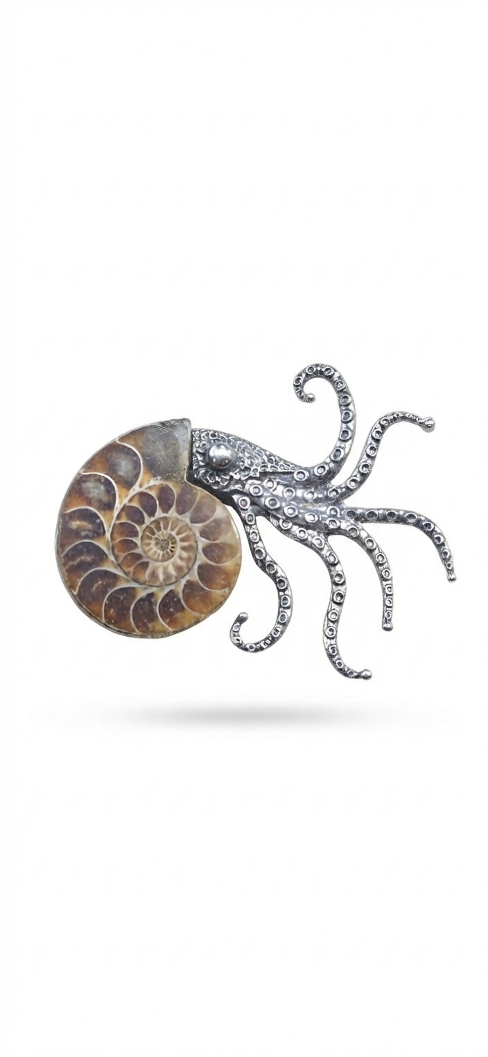 Broche amonite real pulpo aleación plateada - vista completa frontal