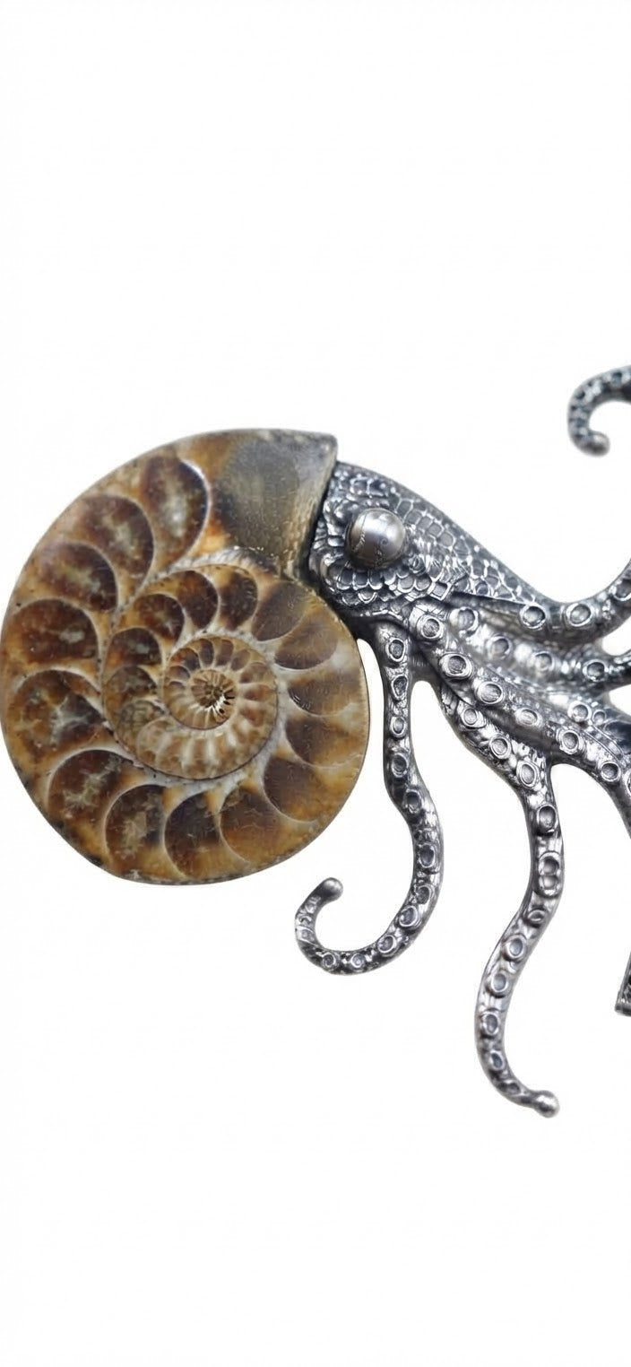 Broche amonite real pulpo aleación plateada - detalle macro concha y tentáculos